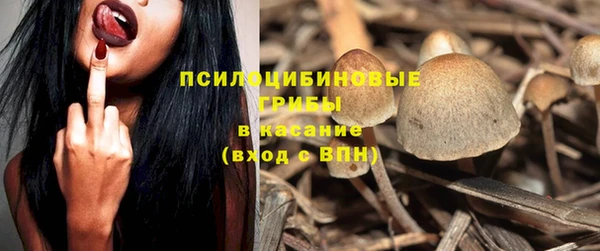 герыч Вяземский