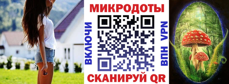 Купить где  Арамиль  Псилоцибиновые грибы Magic Shrooms 